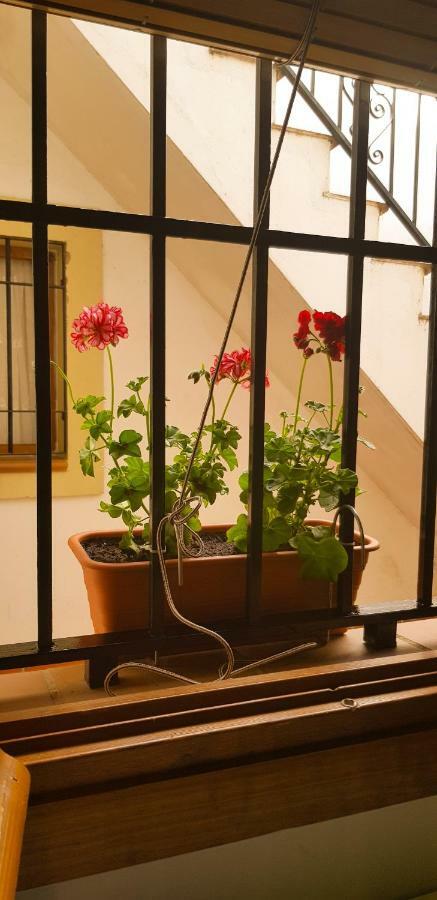 Appartement Centro